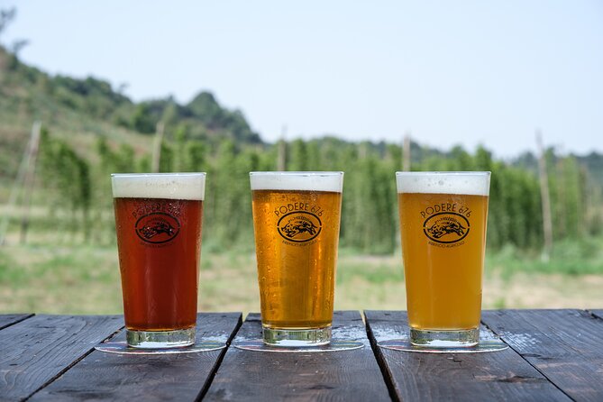 Agricultural Brewery Tour in the Roman Countryside - Tap room tasting: how to make your beer tasting more useful