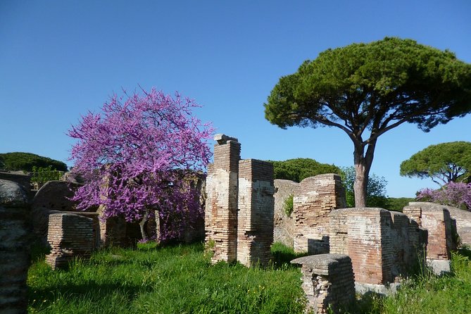 All-included Guided Tour of Ancient Ostia from Rome with Hotel Pickup & Drop Off - What to Watch For: Walking Pace, Time Limits, and Weather