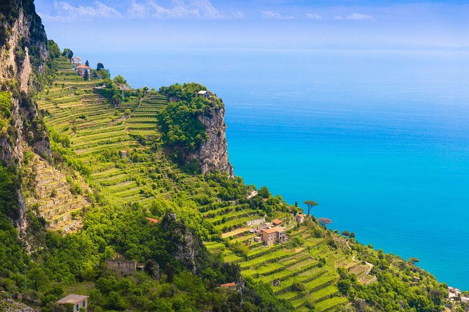 Amalfi Coast Small-Group Day Trip from Rome Including Positano - Positano free time: how to make the most of about 2 hours