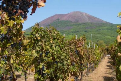 Amalfi Coast with Wine Tasting - Private Driving Tour from Rome - The 7:00 am pickup and the drive reality (bring patience)