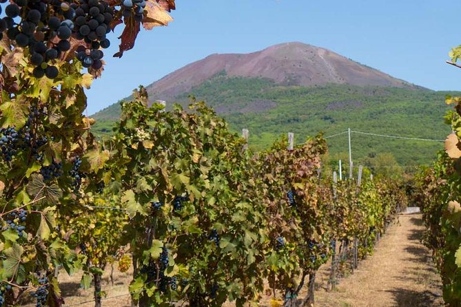 Amalfi Coast with Wine Tasting - Private Driving Tour from Rome - The 7:00 am pickup and the drive reality (bring patience)