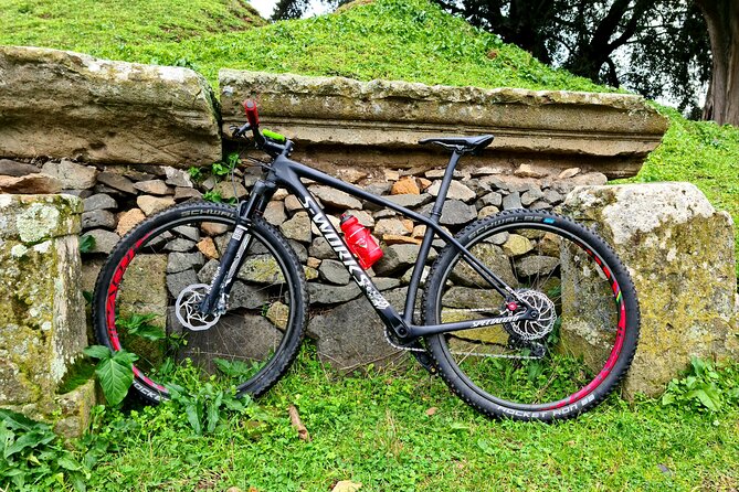 Ancient Appian Way and Roman Countryside E-Bike Tour - The ride reality: rough terrain, traffic zones, and your comfort level