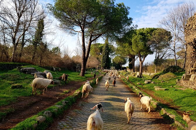 Ancient Appian Way and Roman Countryside E-Bike Tour - E-bikes and helmets: what’s included, and what to check at the bike shop