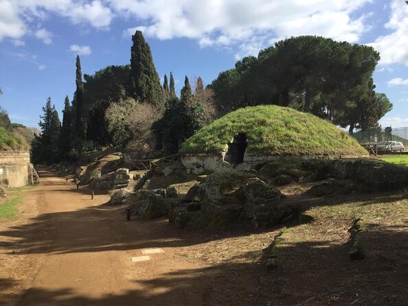Ancient Etruscan Civilization Tour from Rome - Key highlights you’ll care about