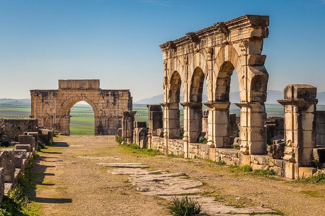 Ancient Ostia from Rome: Archaeology & History, Semi-Private Tour - Price and value: what you’re paying for (and what you aren’t)