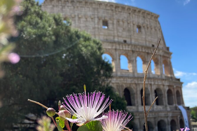 Ancient Rome: Colosseum + Digital Booklet and Audioguide - Stop 2: Roman Forum, Temple of Saturn, and politics in stone