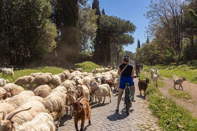 Appian Way Aqueducts Extended E-Bike & Food Adventure -45kms - Stop 4: Parco della Caffarella for a rural reset