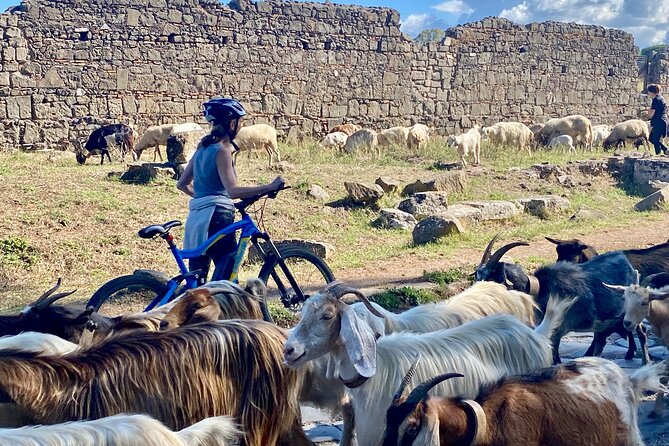 Appian Way & Aqueducts small group e-bike tour(catacombs & food) - Parco degli Acquedotti and Aqua Claudia/Aqua Felix: the aqueducts finish strong