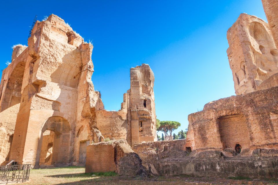 Baths of Caracalla Exclusive Private Guided Tour and Tickets - Mosaic fragments and colossal ruins: what to hunt for during the walk