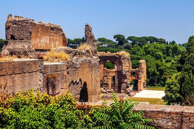 Baths of Caracalla Exclusive Private Tour | Roman Daily Life Walking Guided Tour - Key things to know before you go