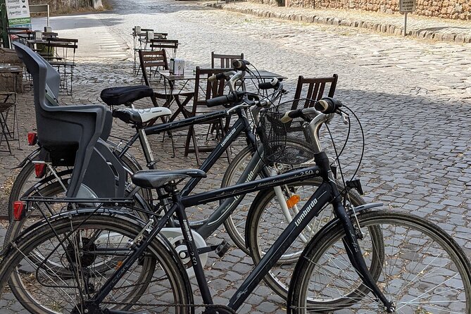 Bike Rental inside Appian Way Regional Park - Comfort on Cobblestones: Helmets, Tyres, and How to Choose an Easier Line