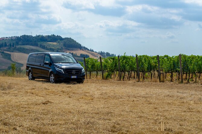 Bocelli Essence of Wine and Volterra Tour from Rome - Key highlights worth getting excited about