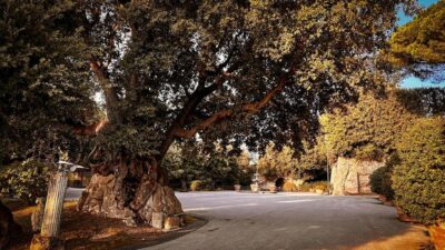 Borgo Laudato Si' - Gardens of Villa Barberini - The one-hour eco-vehicle route starting at Via Massimo D’ Azeglio