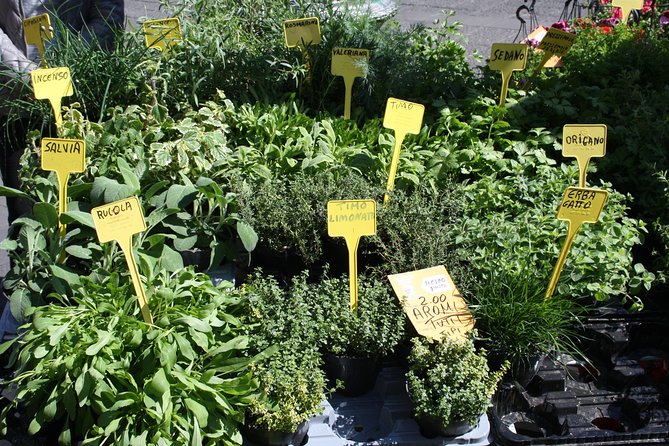 Campo dei Fiori Market and Trevi Fountain District Food & Wine Tour in Rome - Price and value: what $107.17 is buying you