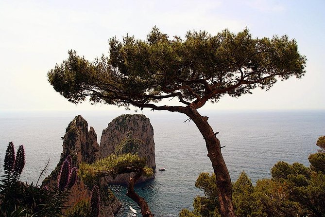 Capri Private Full Day Tour from Rome with Monte Solaro. - 6:00 am pickup and the Rome-to-Naples-to-Capri ride