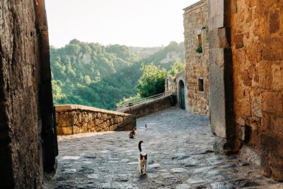 Civita di Bagnoregio and Orvieto - Private Day trip from Rome - The 8:30 AM Start: Be Ready to Walk, Not Race