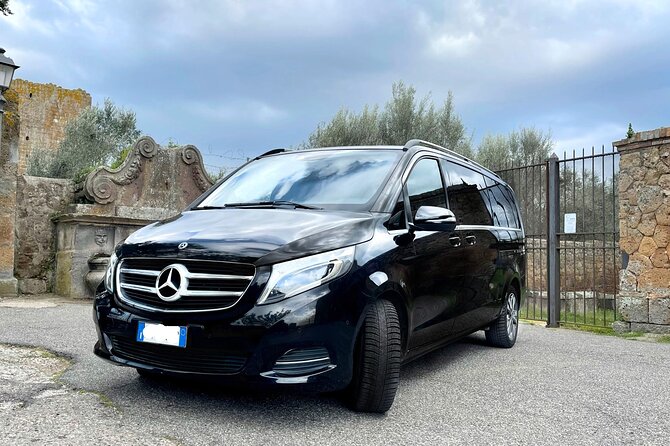 Civitavecchia Cruise Ship Port to Rome Hotel Private Transfer - Luggage space: matching cruise bags to real van capacity