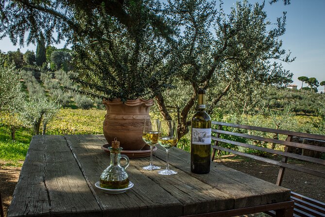 Classic Half-Day Wine Tour in Frascati with Lunch - Small-Group Reality: How It Affects Your Comfort and Attention