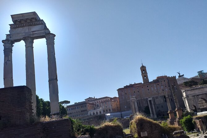 Colosseum & Ancient Rome - Private Tour - Timing and comfort: how to prepare for a hot, crowded site
