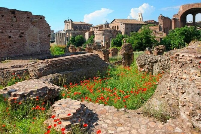 Colosseum & Ancient Rome Private: Women History Guided Tour - Price and value: what $296.30 is really buying