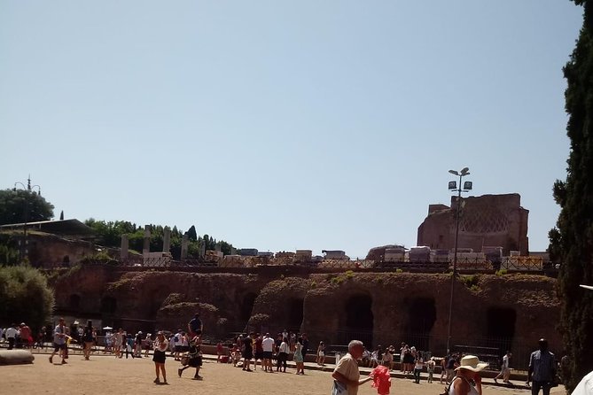 Colosseum and Ancient Rome Express Tour - Flavian Amphitheatre Highlights: What You’ll Get in About 1 Hour