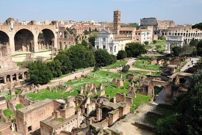 Colosseum and Ancient Rome Private Guided Tour - Palatine Hill: the origin story and the imperial “wow” factor
