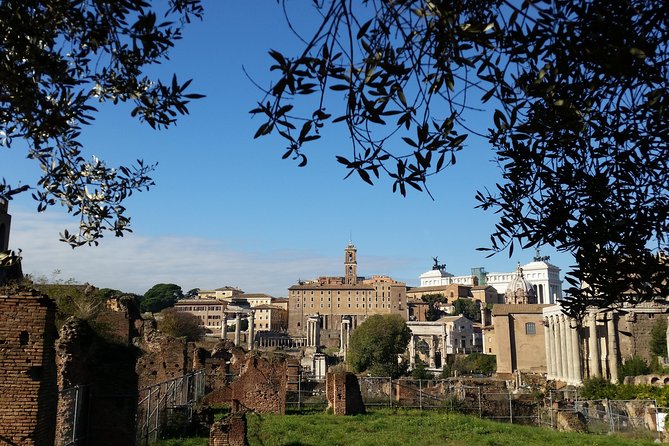 Colosseum and Roman Forum Private Tour led by an archaeologist - Meeting up near Piazza del Colosseo (and not losing your mind)