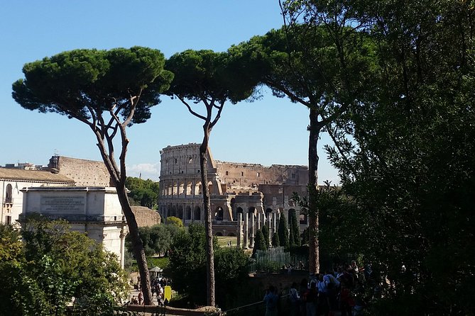 Colosseum and Roman Forum Private Tour led by an archaeologist - Practical prep: IDs, names, and what to bring