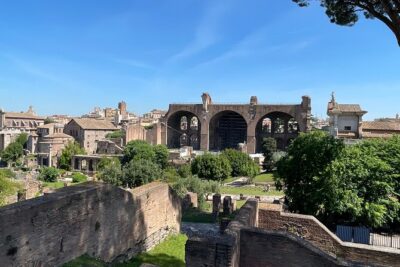 Colosseum Arena and Ancient Rome Private Tour - Palatine Hill: myths, imperial homes, and big views