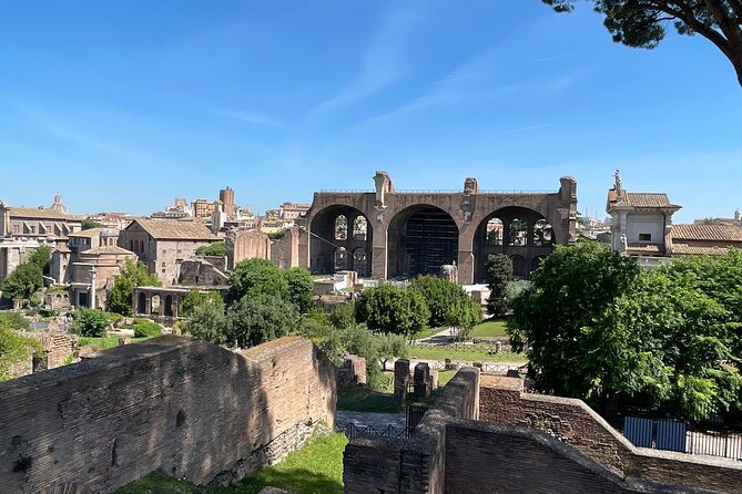 Colosseum Arena and Ancient Rome Private Tour - Palatine Hill: myths, imperial homes, and big views