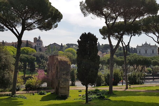 Colosseum Arena Floor and Ancient Rome Semi Private Guided Tour - Stop 2: Palatine Hill Orientation and View-Time Logic