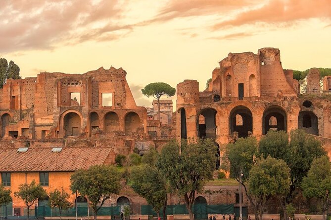 Colosseum Arena Floor Guided Group Tour with Roman Forum and Palatine Hill - Why the Forum stop feels like the city’s “real engine”
