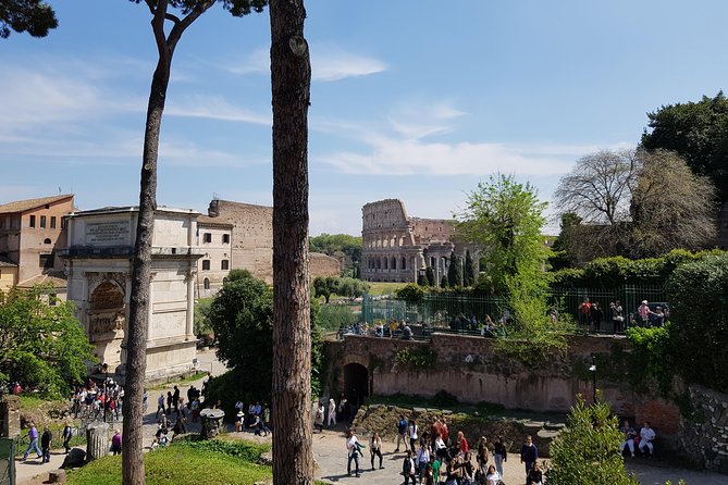 Colosseum Arena Floor, Roman Forum and Palatine Hill Guided Tour - Timing, walking, and photo reality: how to avoid a rushed feeling