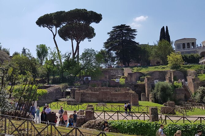 Colosseum Arena Floor Roman Forum and Palatine Hill Live Guide - What you’re really buying: the express Colosseum-to-Forum route
