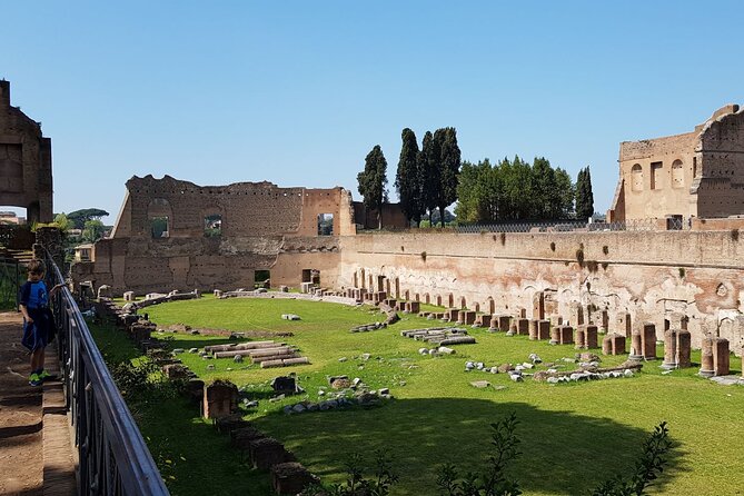 Colosseum Arena Floor Roman Forum and Palatine Hill Live Guide - Price and value: why $31.46 can make sense here