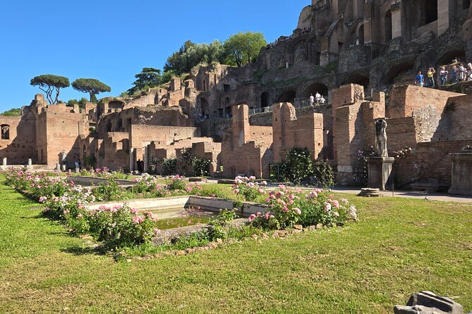 Colosseum Arena Floor, Roman Forum & Palatine Hill Guided Group Tour - What to Expect Inside Each Site (So You Don’t Feel Rushed)