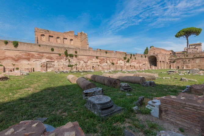 Colosseum Arena, Forum and Palatine Hill Tour - What to Bring for Heat, Walking, and ID Checks