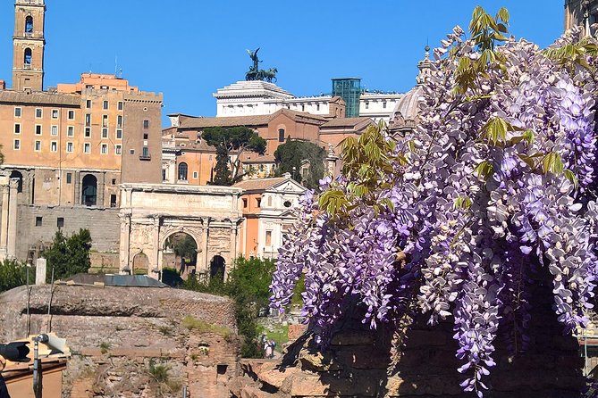 Colosseum en Forum Romanum in het Nederlands - Roman Forum walking: Caesar, Via Sacra, and the Arch of Titus