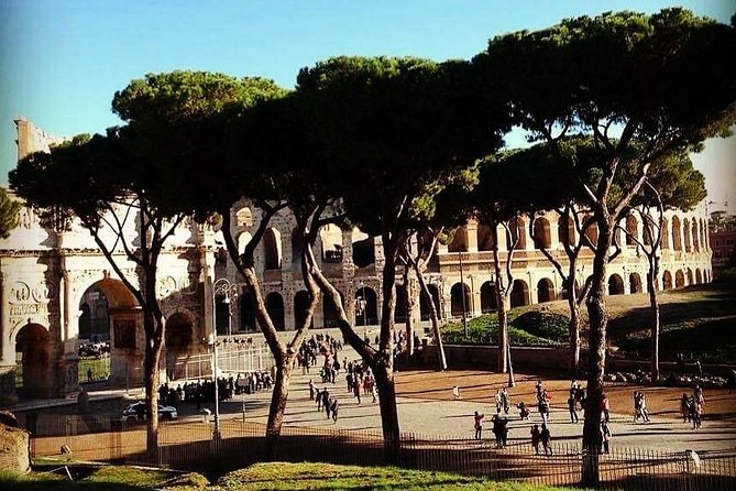 Colosseum Express Tour - How the Colosseum Express Tour Saves You Time
