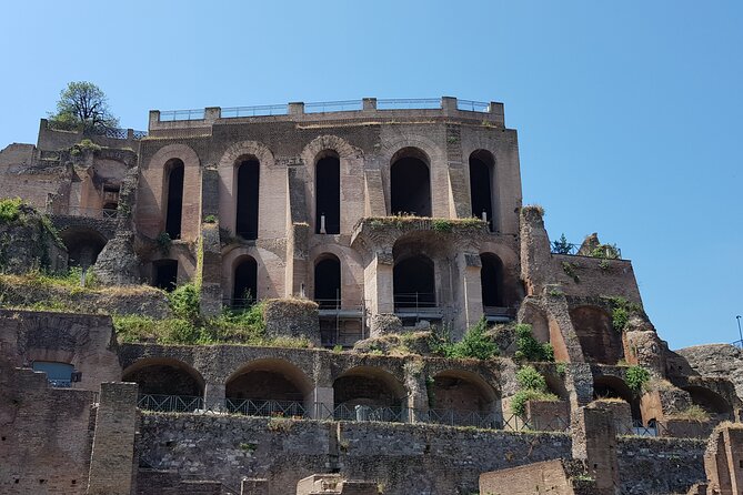 Colosseum Express Tour - Private/Semi Private 7 PAX Group Tour - Group Size and Tour Style: Why It Feels Personal