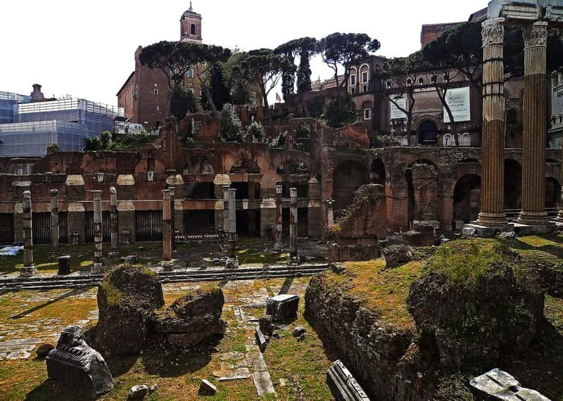 Colosseum, Forum & Palatine Hill Guided Walking tour - Pace, Group Size, and Hot-Day Reality Checks