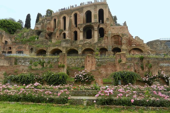 Colosseum Gladiator's Arena and Ancient Rome Tour - Value check: is $84.11 worth it?