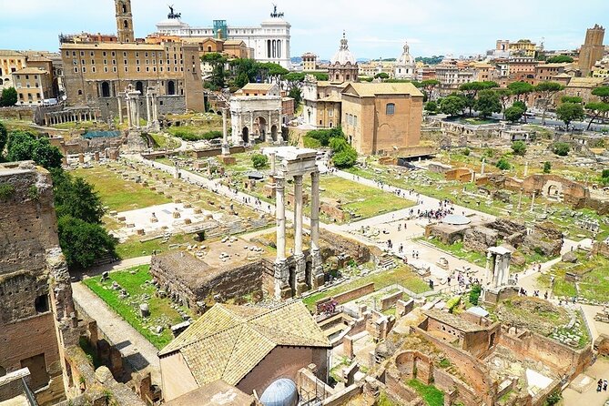 Colosseum Guided Tour with Special Access to the Gladiator Arena - Group Size, Timing, and Meeting Point Tips That Actually Matter