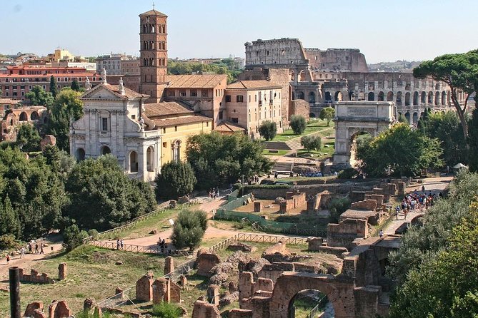 Colosseum, Palatine Hill, and Roman Forum Private Tour - Price and what you truly get for the money