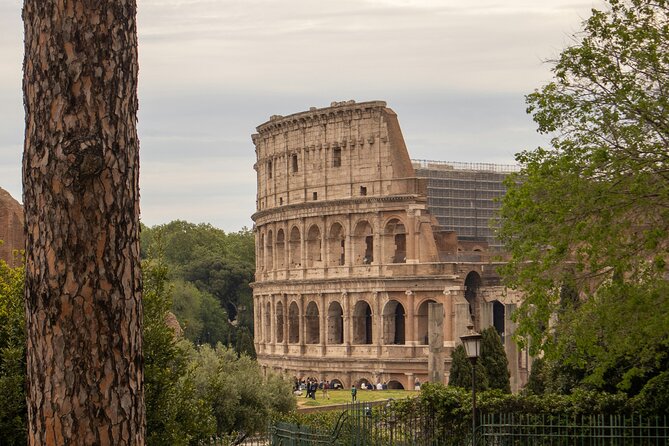 Colosseum, Roman Forum and Palatine Hill Audio Guided Tour - Palatine Hill: emperors’ home grounds plus a strong viewpoint