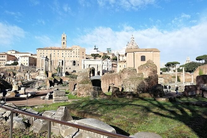 Colosseum, Roman Forum and Palatine Hill- Private Tour - Who This Tour Fits Best