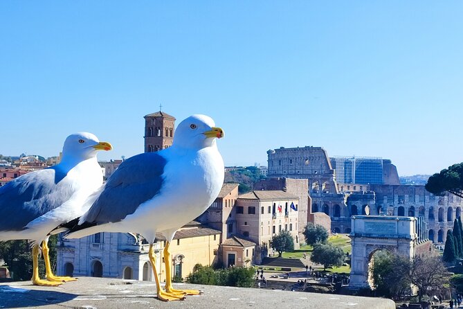 Colosseum, Roman Forum & Palatine Hill - Group Tour - What Guaranteed Colosseum Entry Means in Real Life