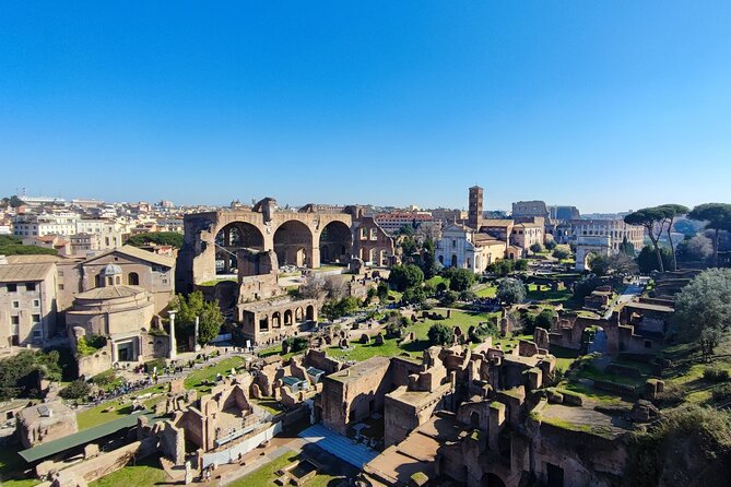 Colosseum, Roman Forum & Palatine Hill - Group Tour - Price and Value: Is $126.16 Worth It?