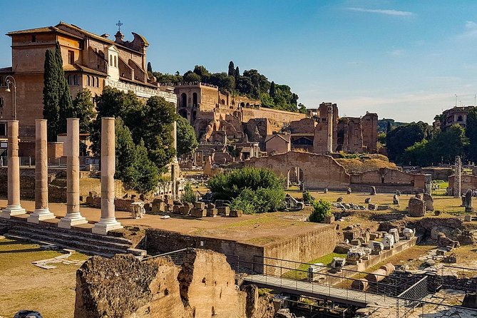 Colosseum, Roman Forum,& Palatine Hill private tour - Who This Private Tour Suits Best