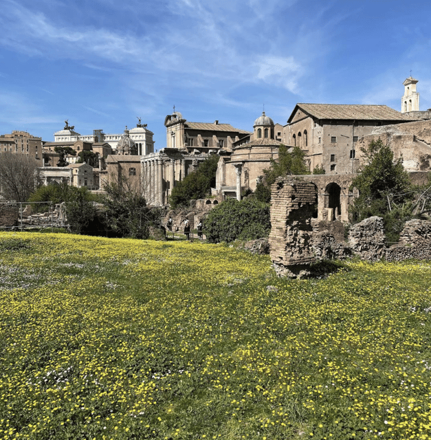Colosseum, Roman Forum, Palatine Hill - the PRIVATE TOUR - Palatine Hill: The Imperial Residence Ruins, Explained